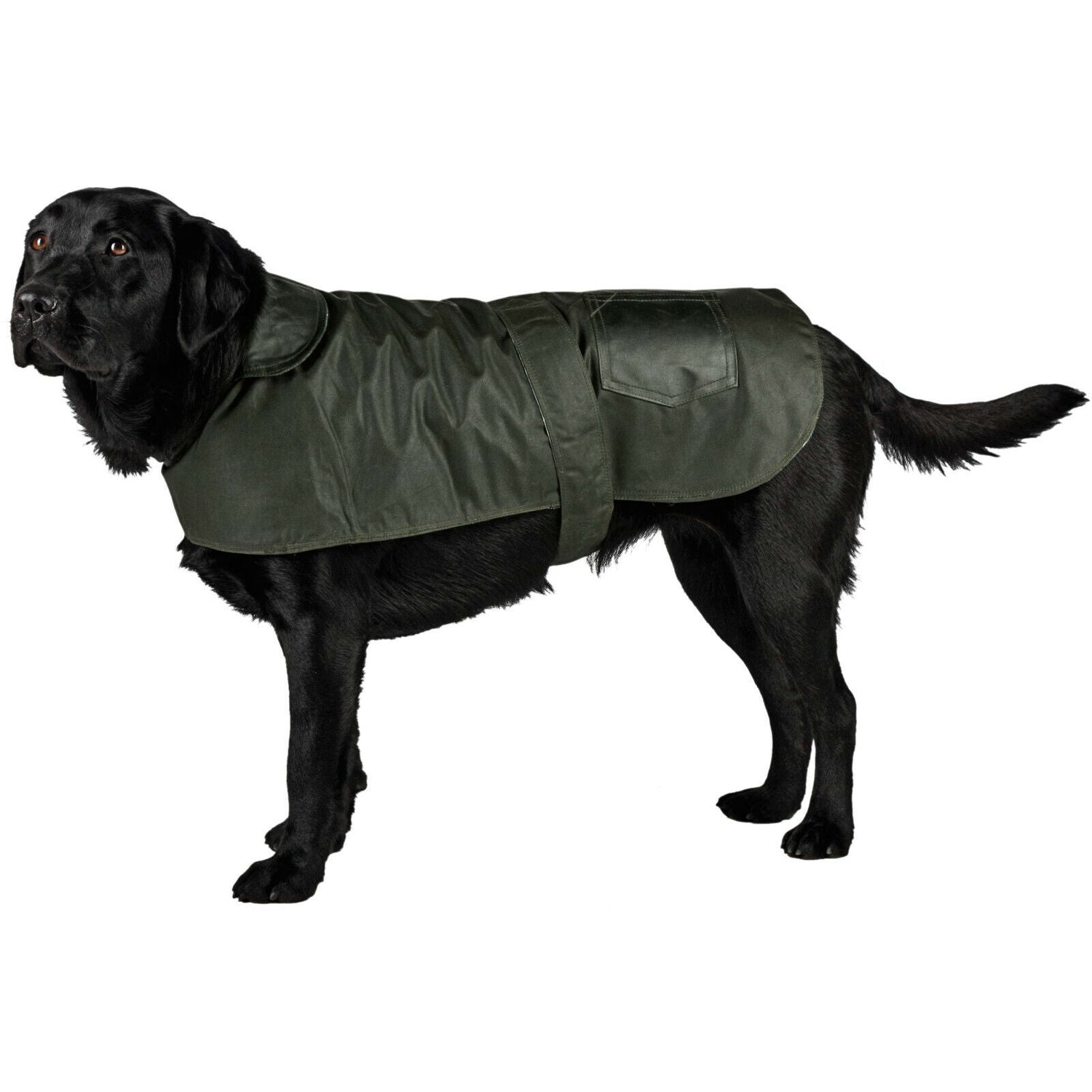 Dogs Wax Jacket Re - Waxing / Re - Proof Service - WAXXED